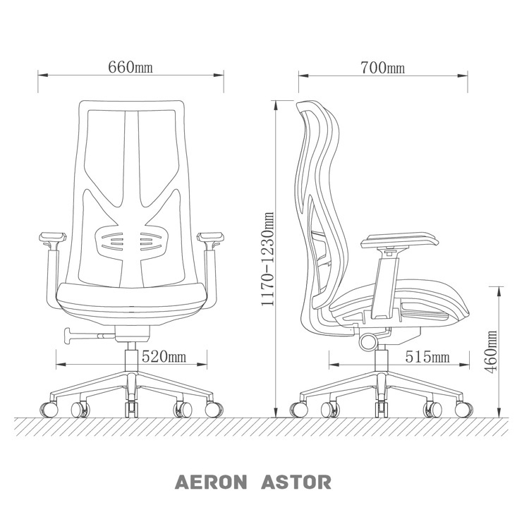 AERON ASTOR